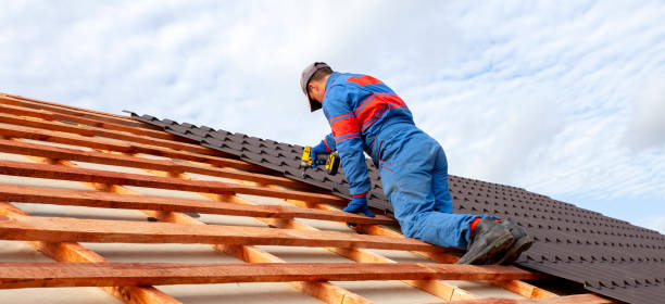Best Asphalt Shingle Roofing  in Bristol, FL