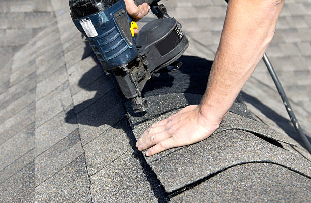 Best Sheet Metal Roofing  in Bristol, FL